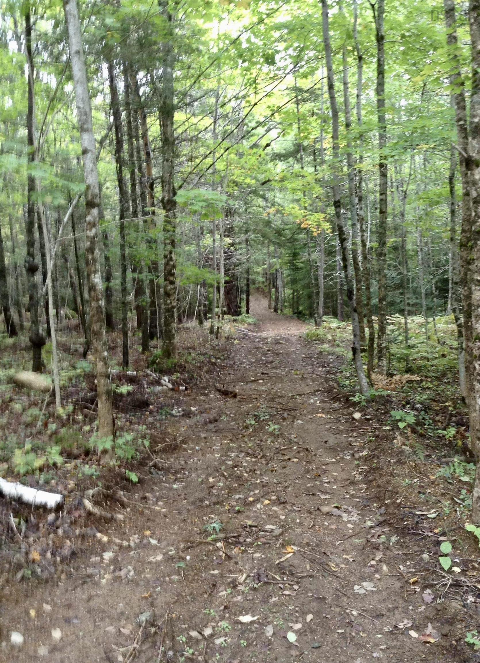 $599,000.00: 255 Virginia Road, Virginia East