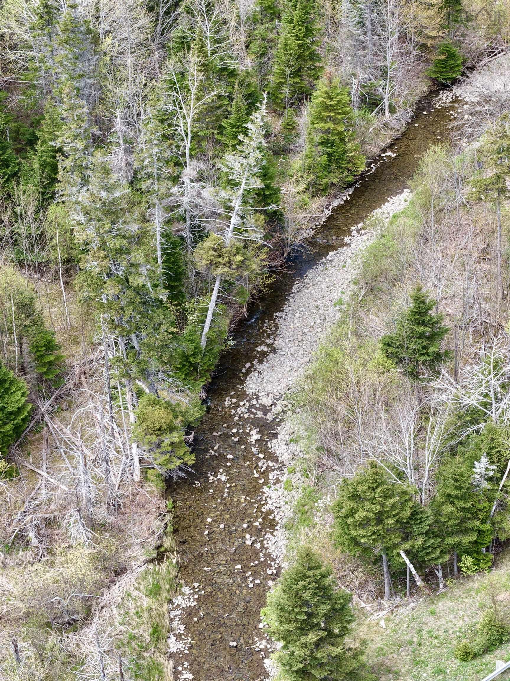 $279,900.00: Lot Route 19, Broad Cove Chapel