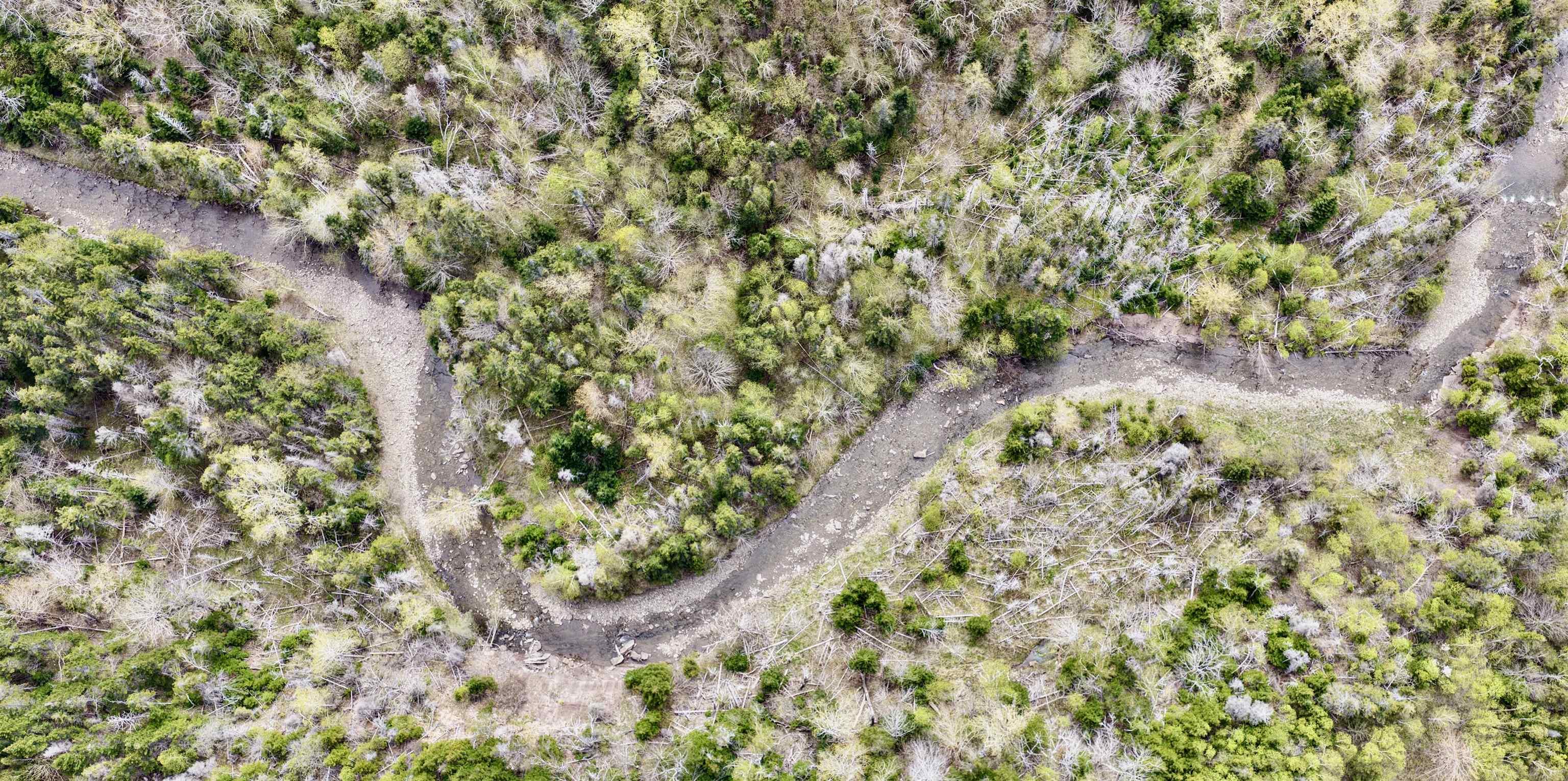 $279,900.00: Lot Route 19, Broad Cove Chapel