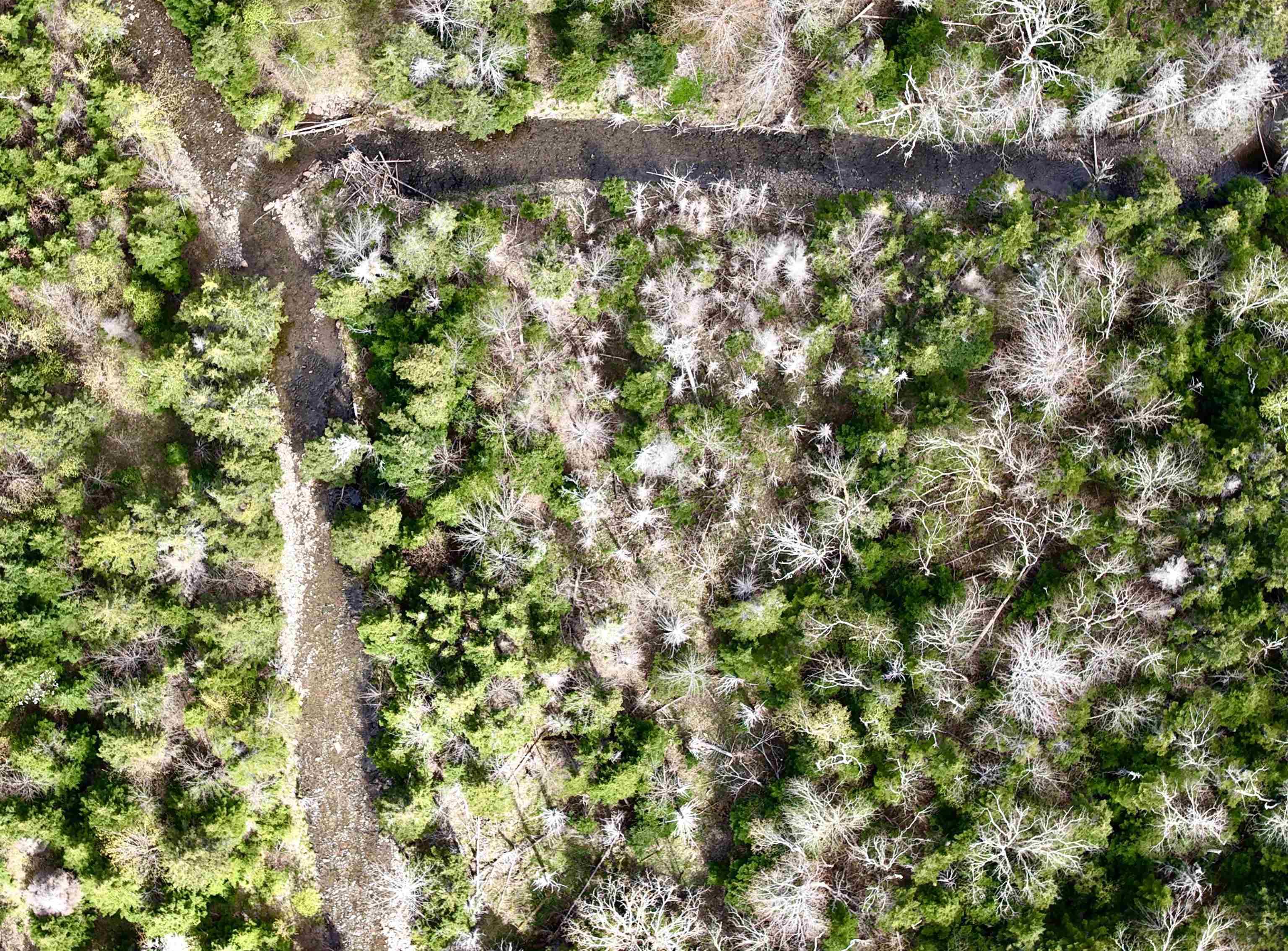 $279,900.00: Lot Route 19, Broad Cove Chapel