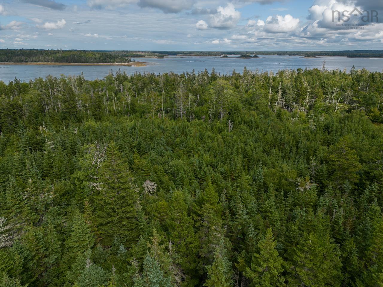 $79,900.00: Highway 308, Morris Island