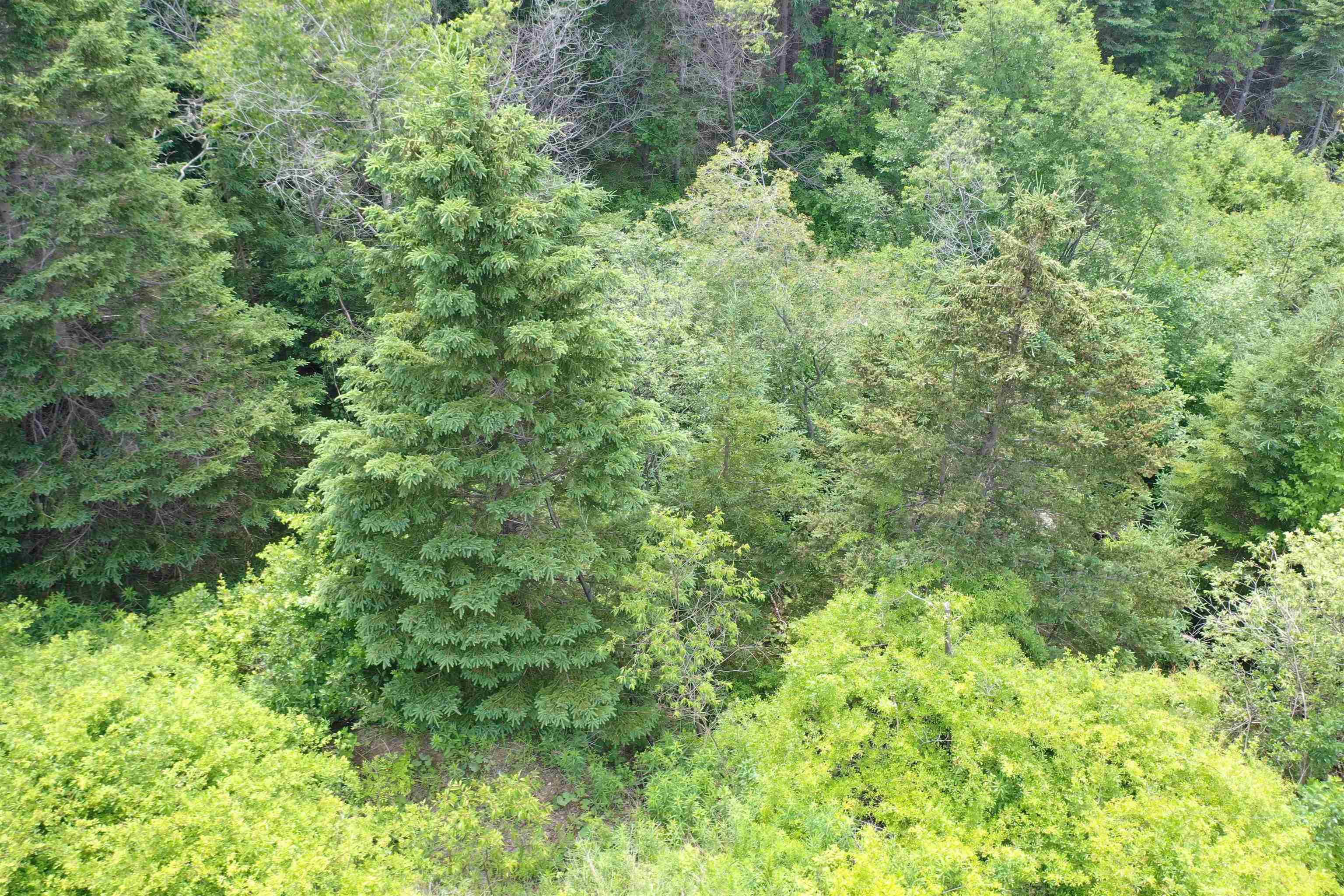 $28,000.00: Lots 14 & 15 Highview & Clough Ave, Port Hastings