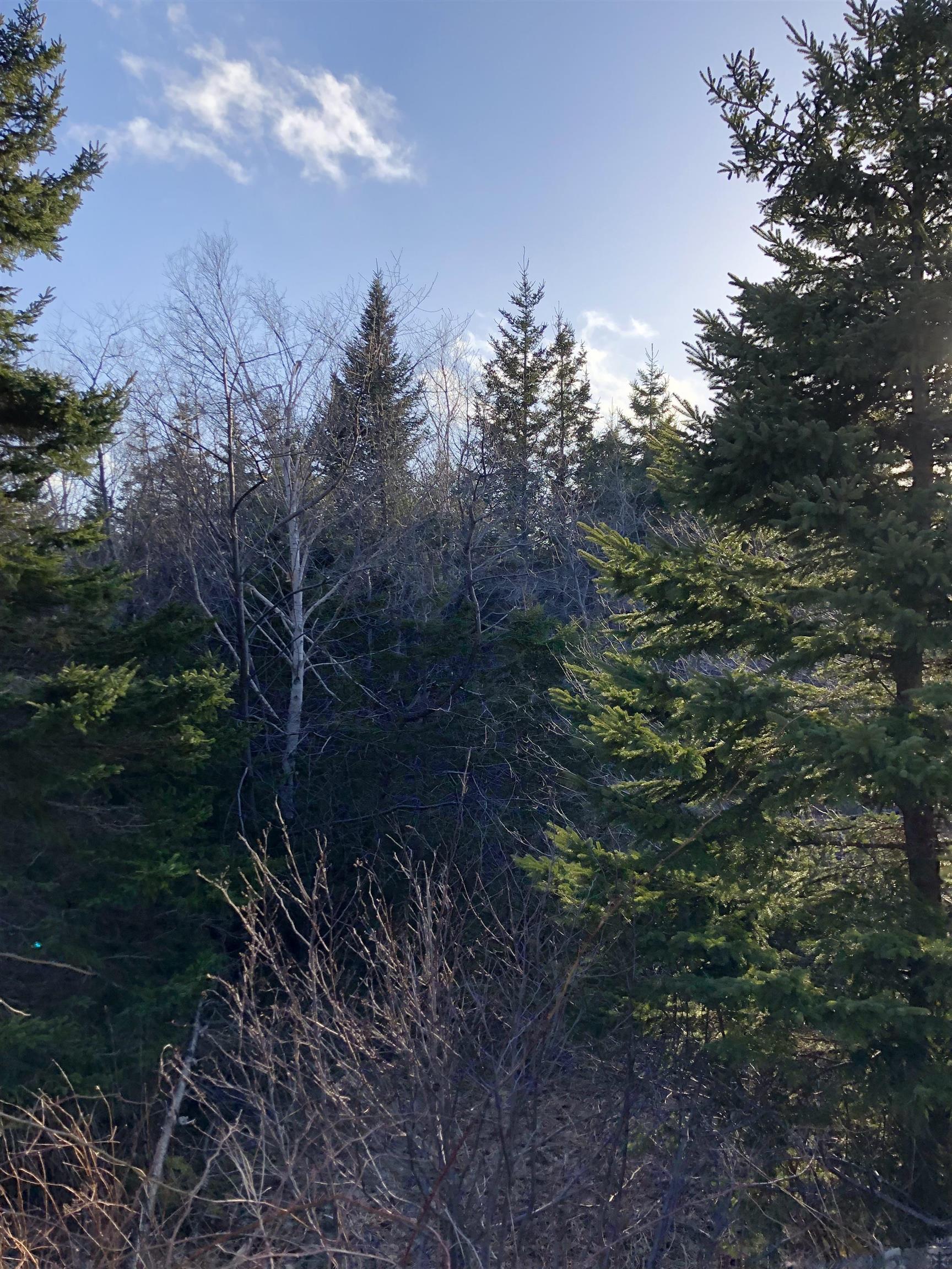 $28,000.00: Lots 14 & 15 Highview & Clough Ave, Port Hastings