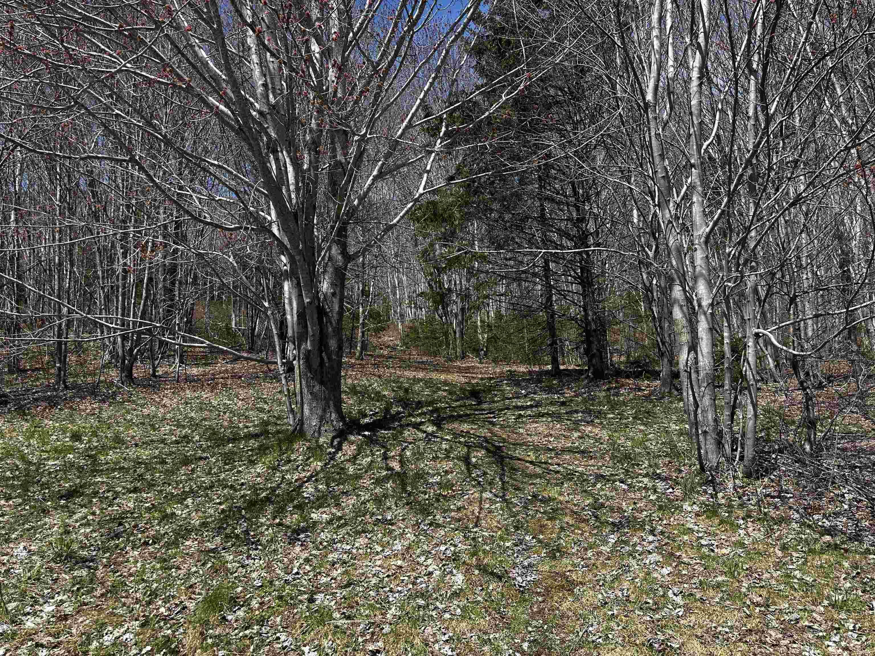 $345,000.00: 10783 NS-105 Highway, Aberdeen
