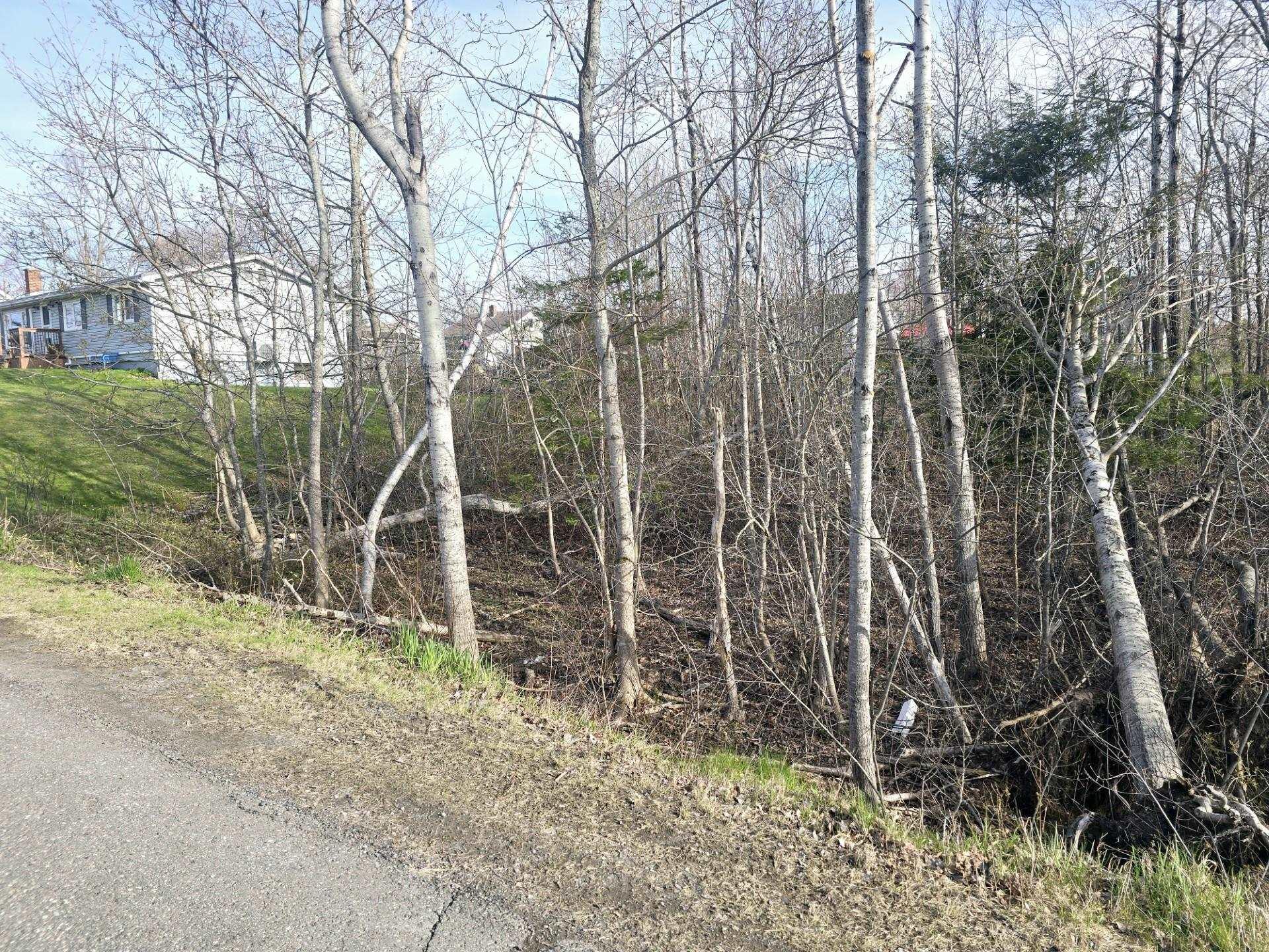 $39,400.00: Lot Belmont Avenue, Stellarton