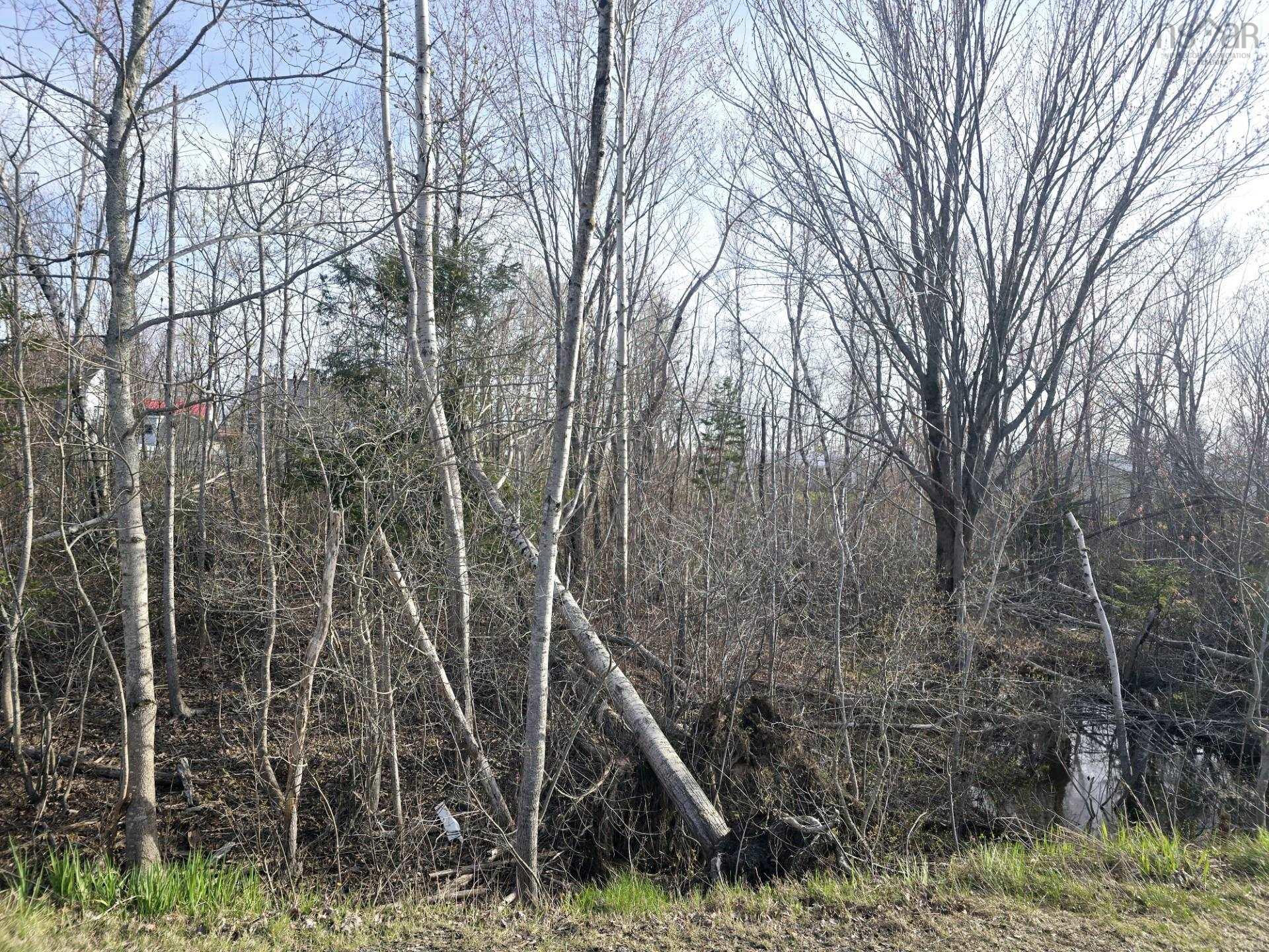 $39,400.00: Lot Belmont Avenue, Stellarton