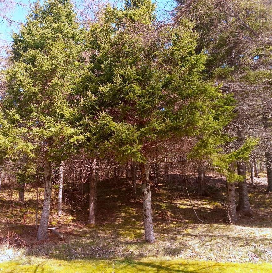 $59,000.00: 12 Jonny Cash Lane, Juniper Mountain