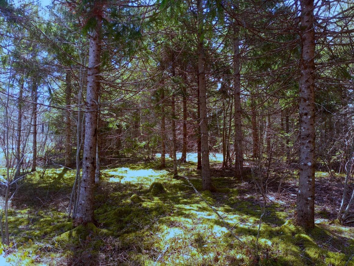 $59,000.00: 14 Jonny Cash Lane, Juniper Mountain