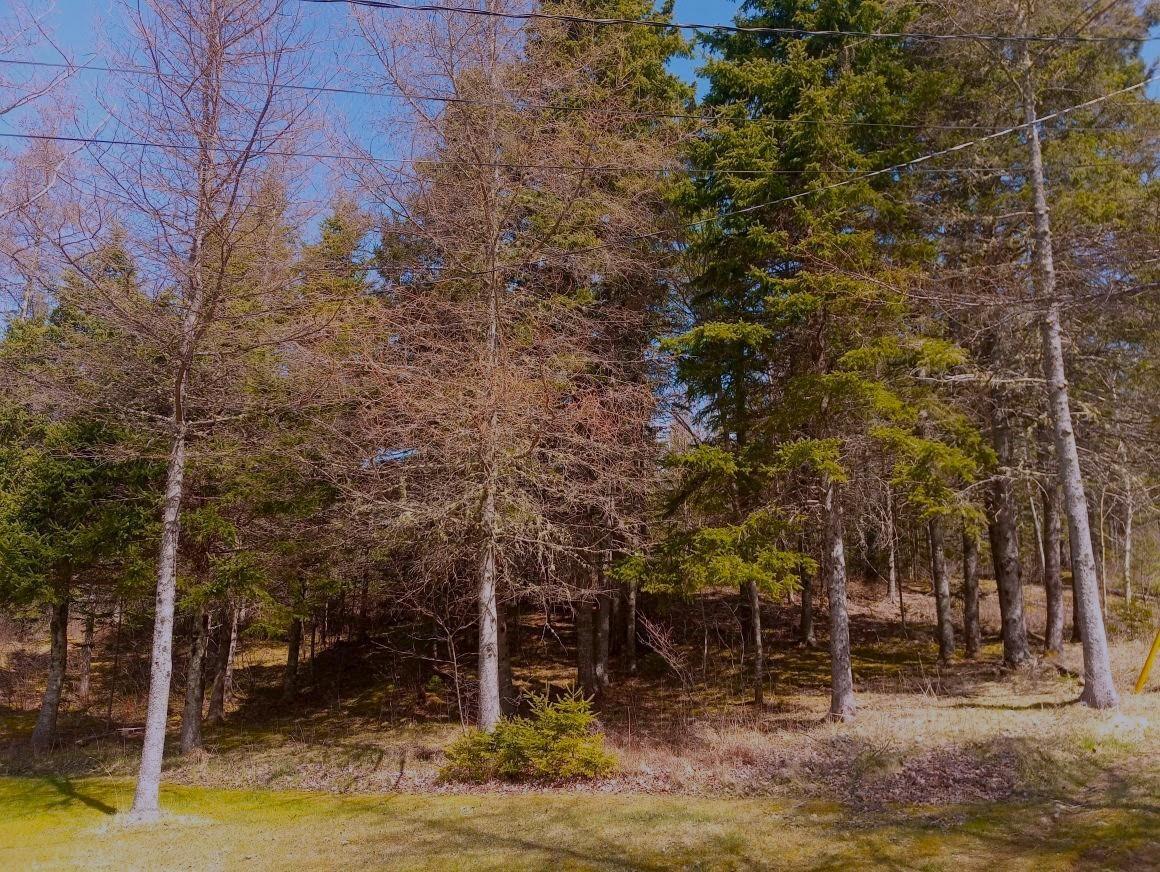 $59,000.00: 14 Jonny Cash Lane, Juniper Mountain