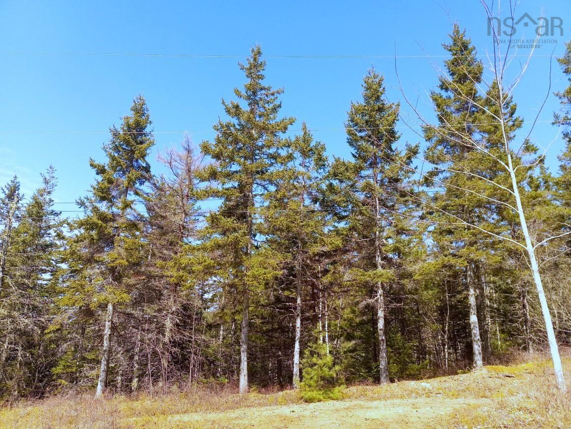 $59,000.00: 14 Jonny Cash Lane, Juniper Mountain