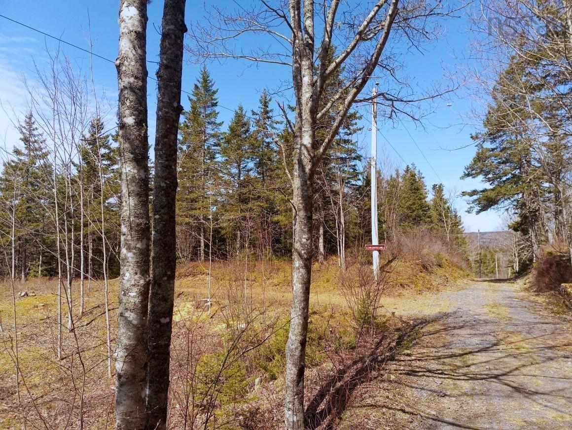 $59,000.00: 14 Jonny Cash Lane, Juniper Mountain