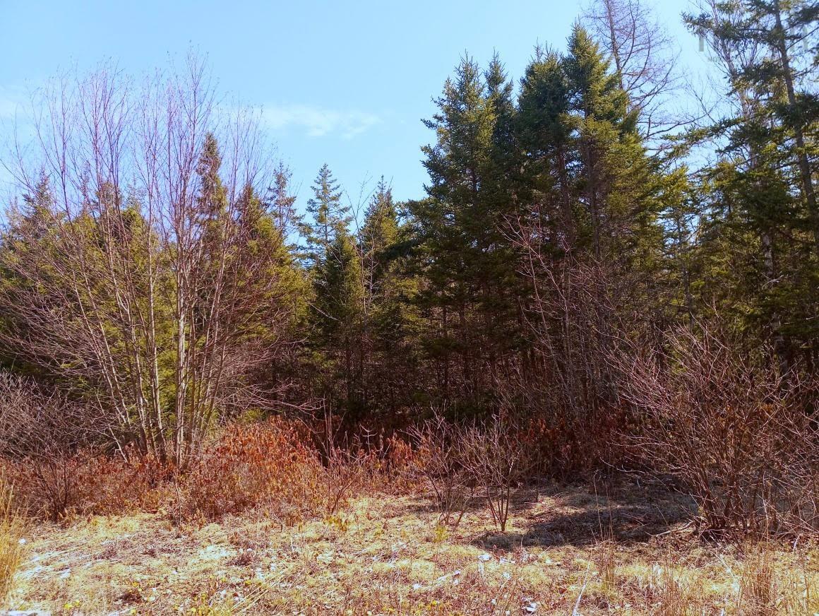 $59,000.00: 14 Jonny Cash Lane, Juniper Mountain