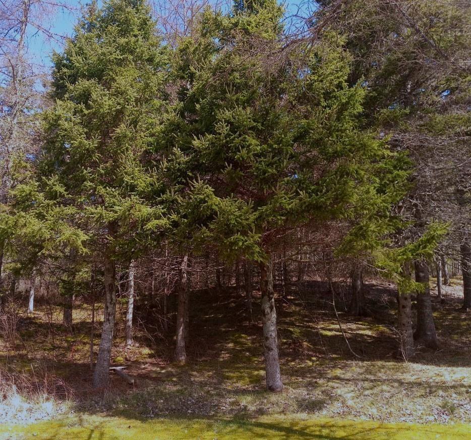 $59,000.00: 14 Jonny Cash Lane, Juniper Mountain