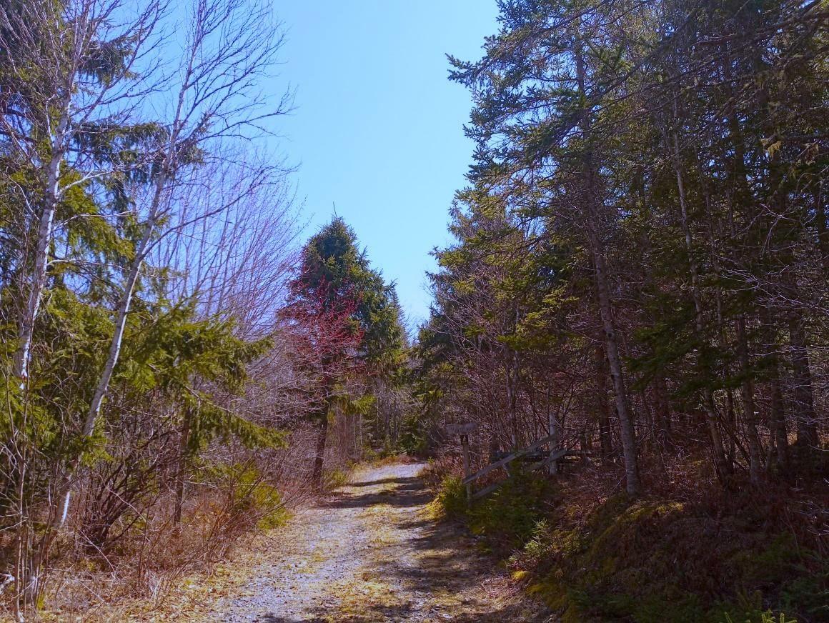 $59,000.00: 14 Jonny Cash Lane, Juniper Mountain
