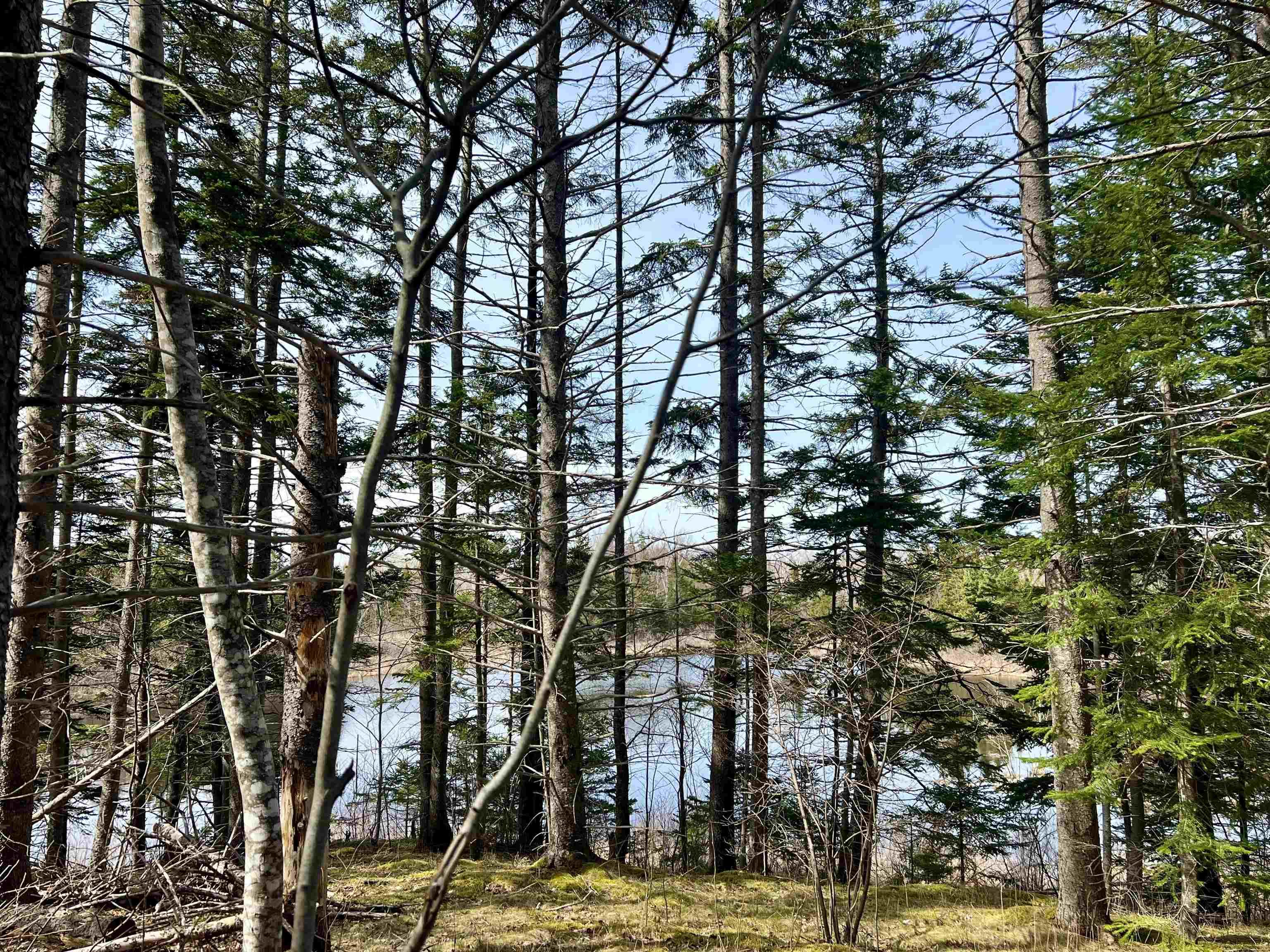 $429,444.00: Old Mulgrave Road, Monastery