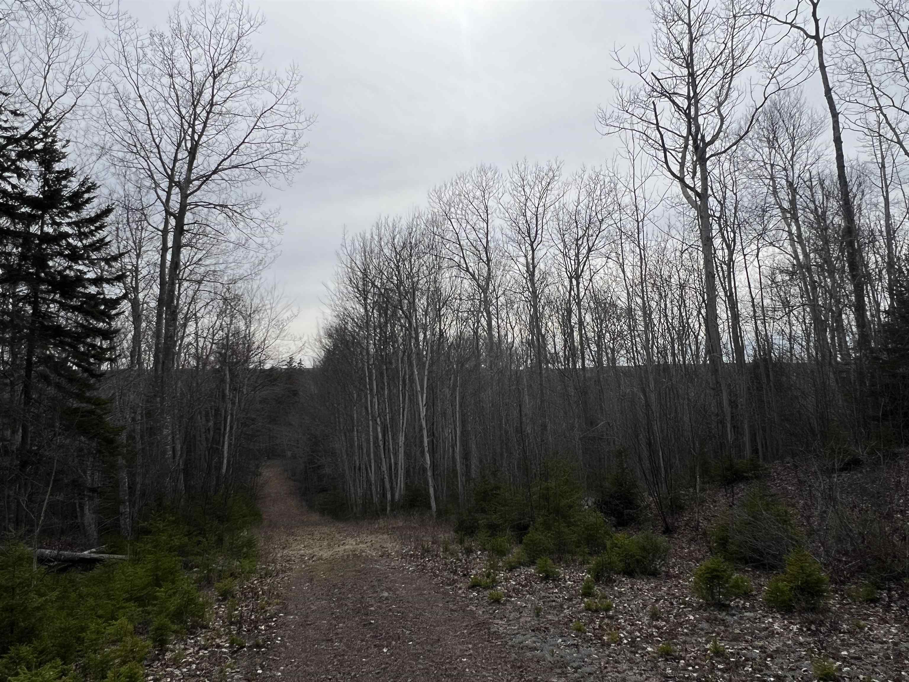 $429,444.00: Old Mulgrave Road, Monastery