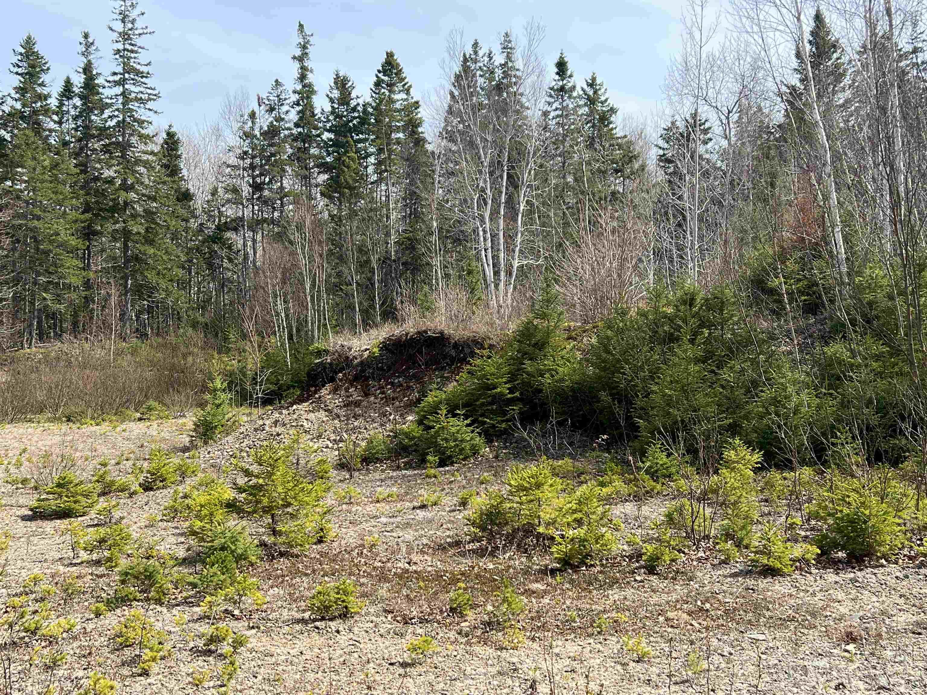 $429,444.00: Old Mulgrave Road, Monastery