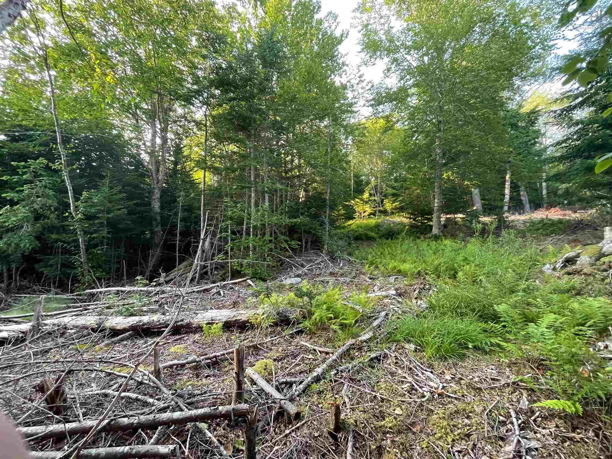 $99,000.00: Lot 10 White Birch Landing, Islandview
