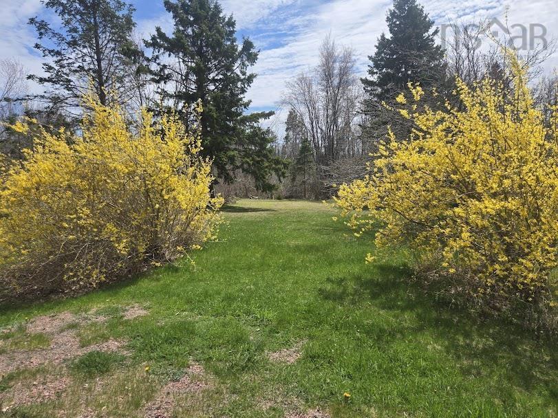 $149,000.00: Lot B 4.6 acres Malagash Road, Malagash