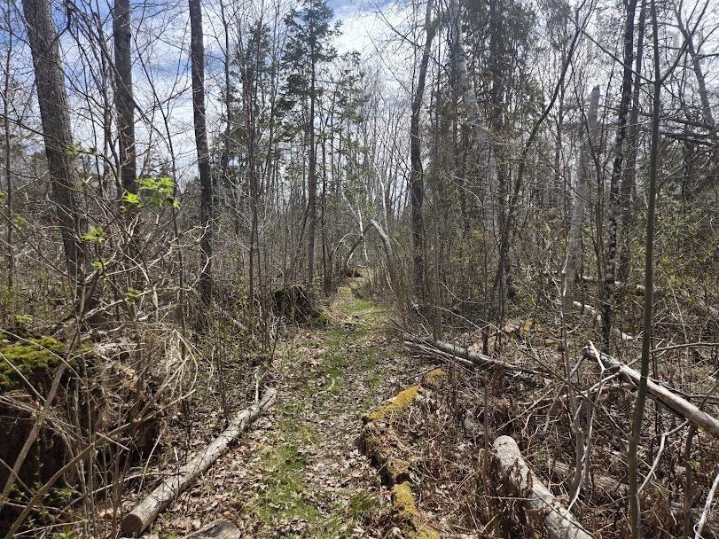 $149,000.00: Lot B 4.6 acres Malagash Road, Malagash