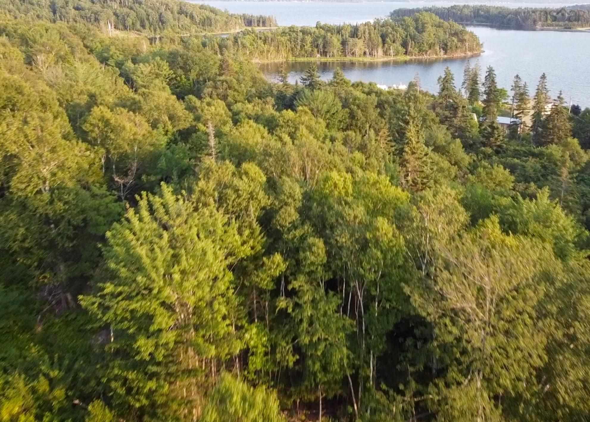 $95,000.00: Lot 11 White Birch Landing, Islandview