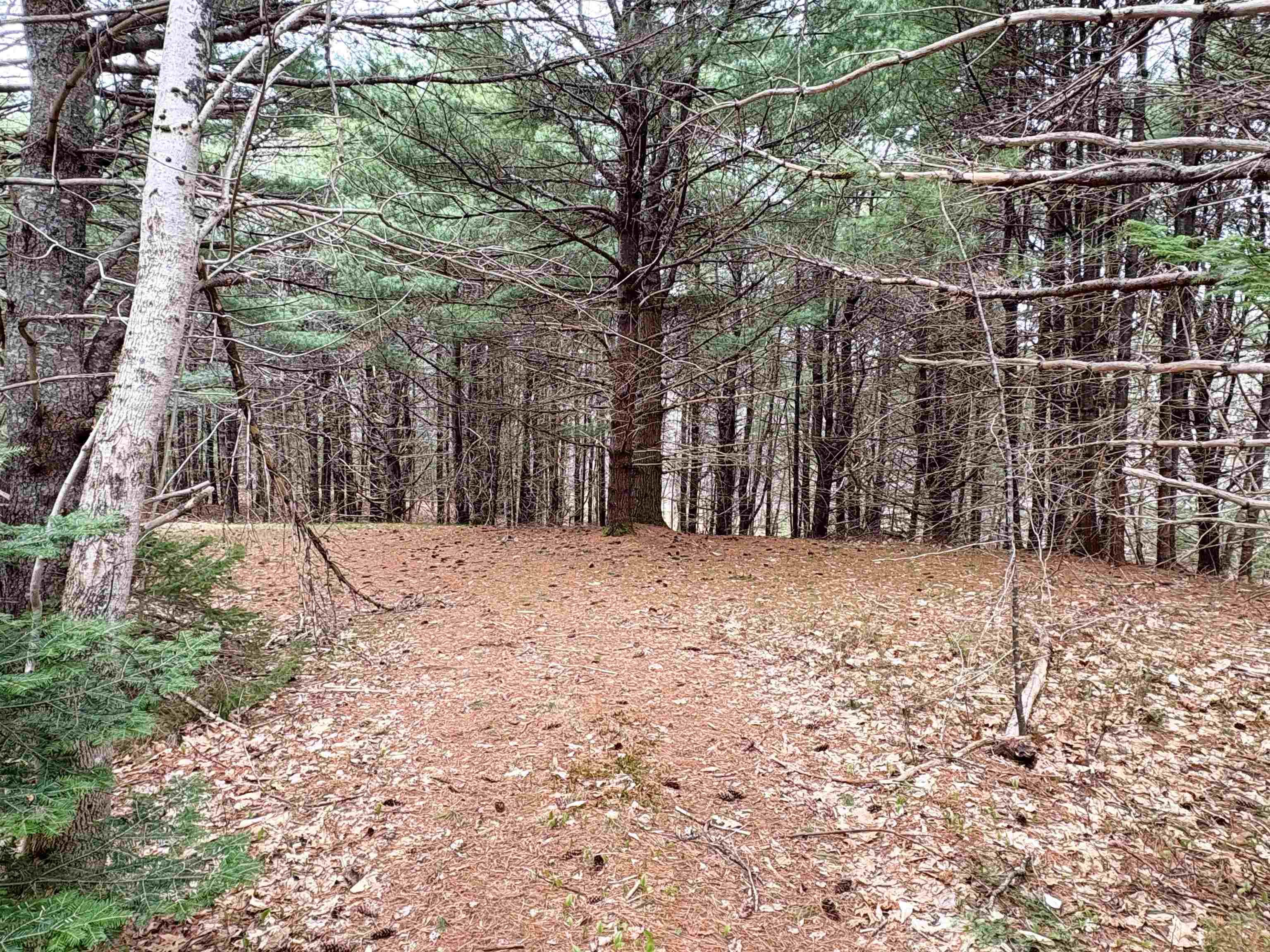 $75,000.00: Lot Sleepy Hollow Road, Oakland