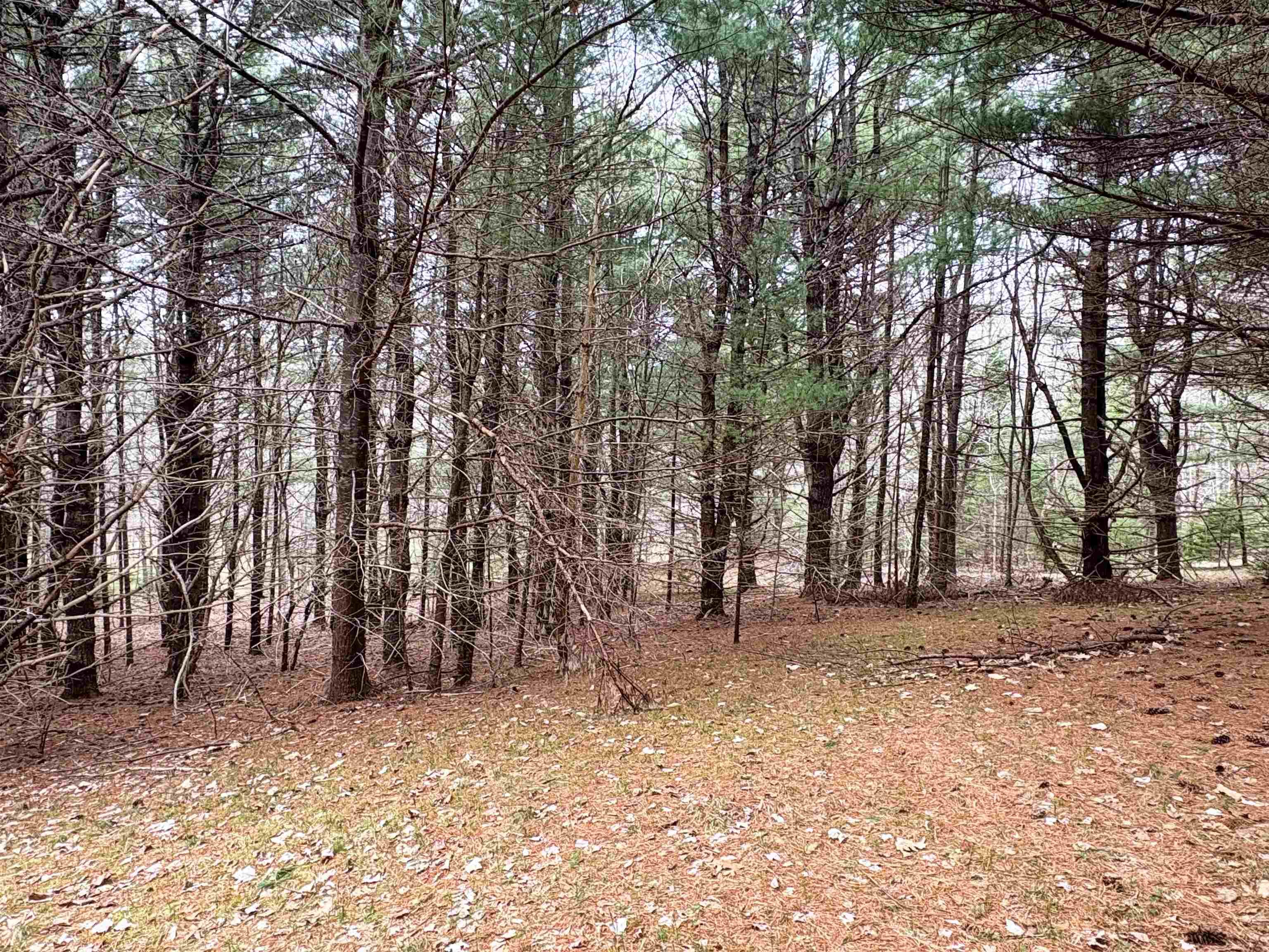 $75,000.00: Lot Sleepy Hollow Road, Oakland