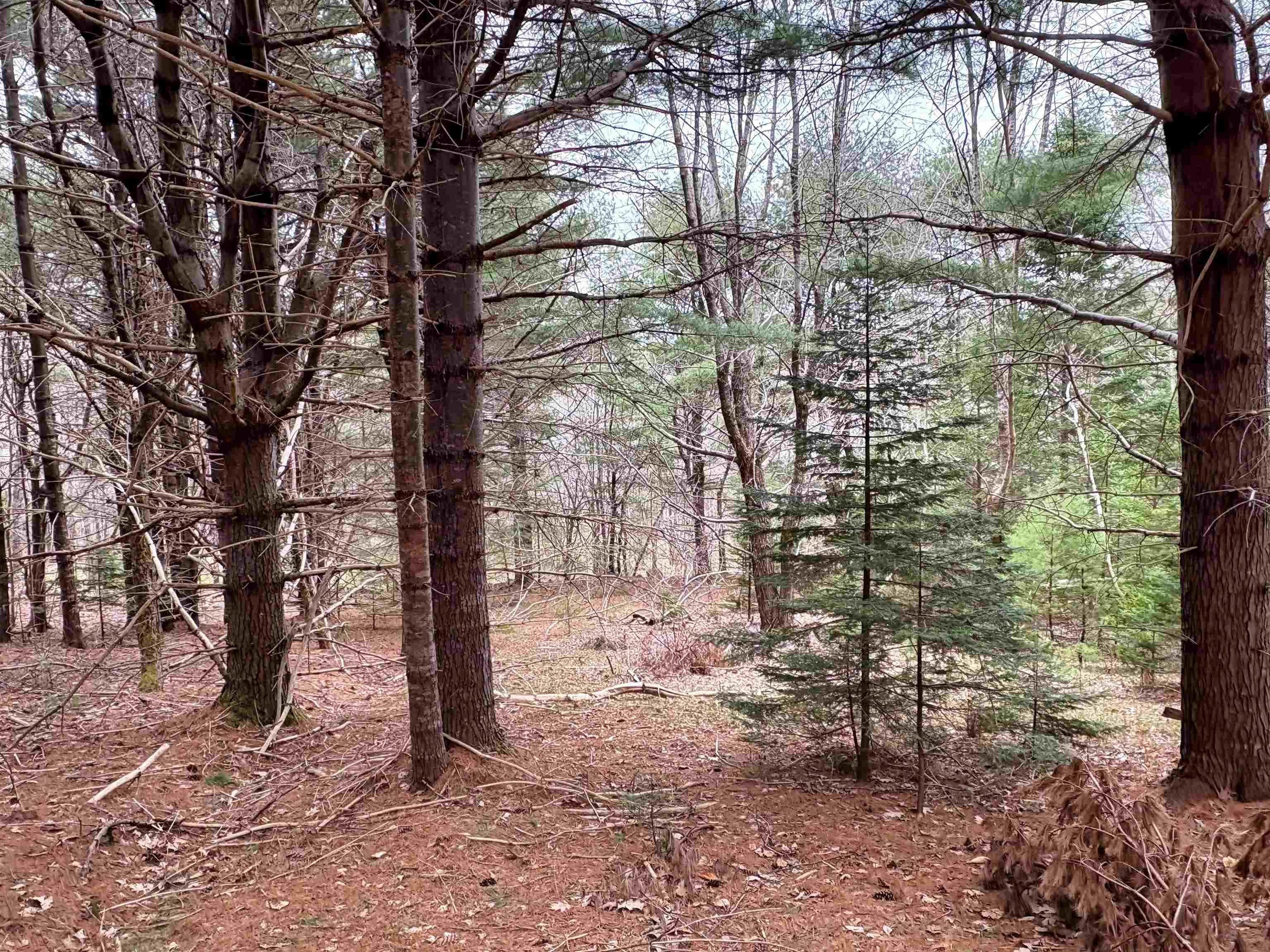 $75,000.00: Lot Sleepy Hollow Road, Oakland
