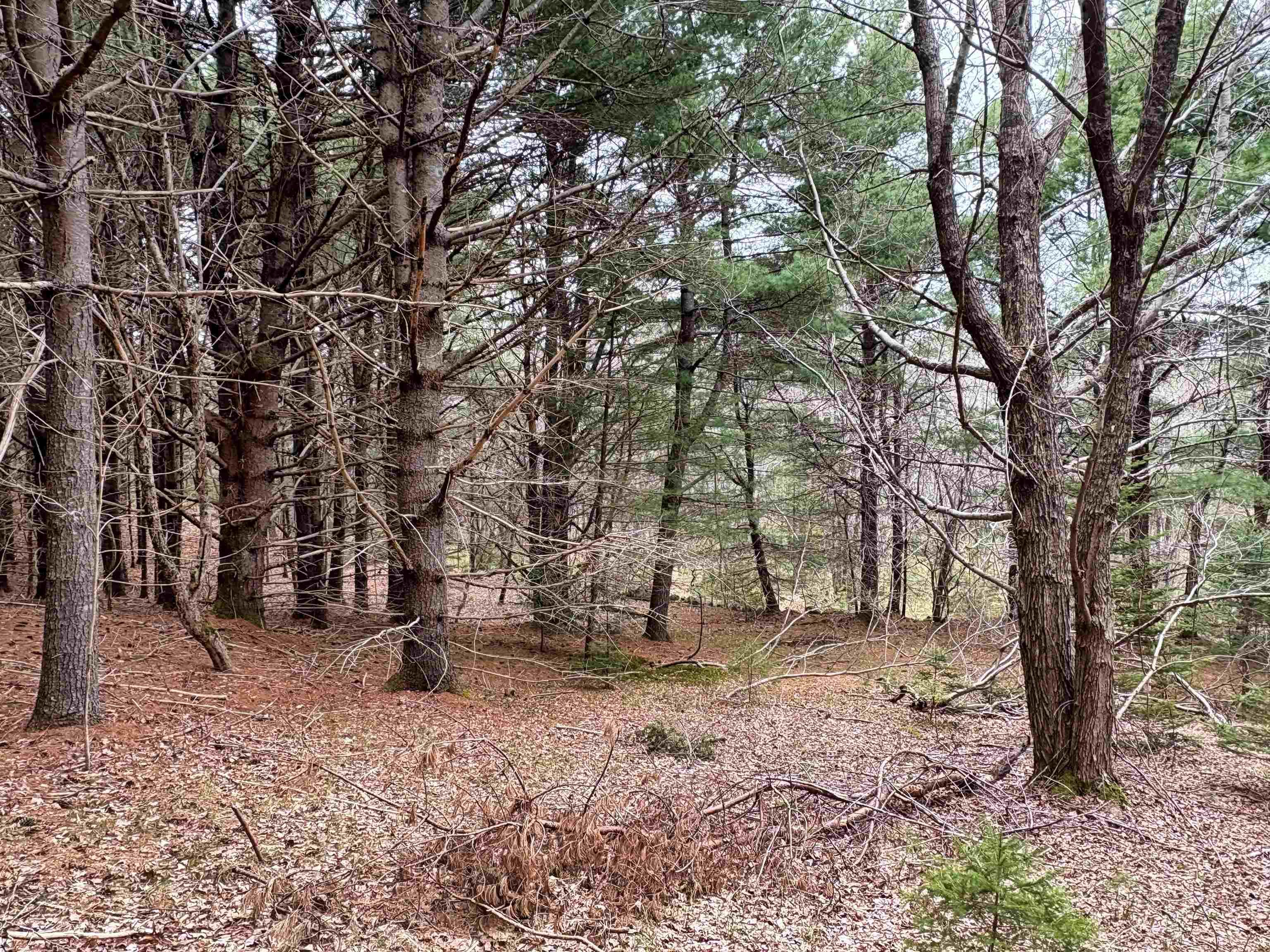 $75,000.00: Lot Sleepy Hollow Road, Oakland