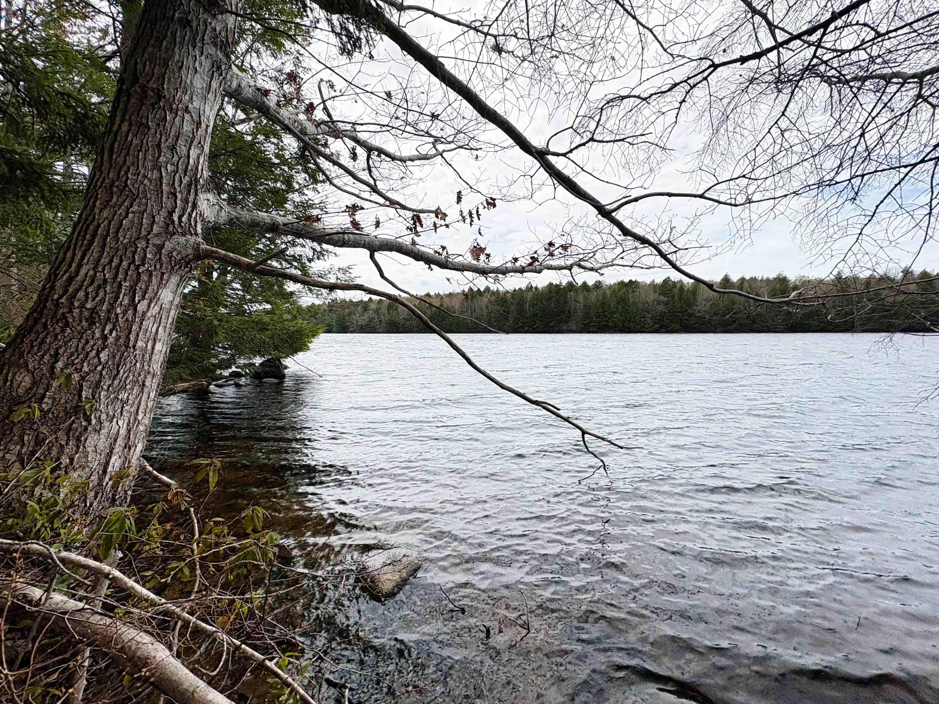 $109,000.00: Lot 103 Lakeview Drive, Conquerall Mills