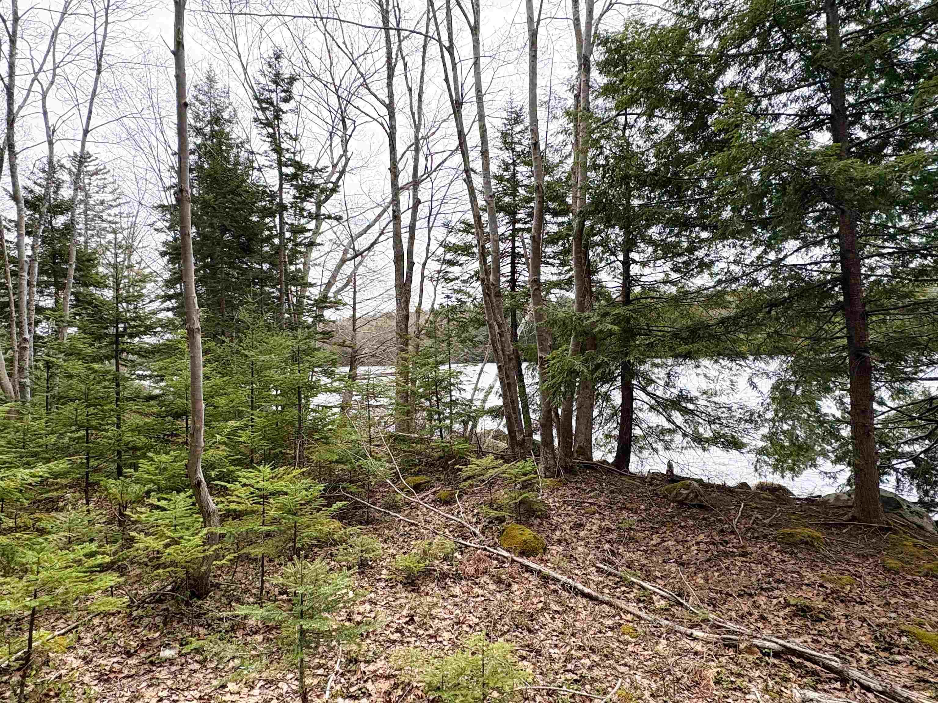 $109,000.00: Lot 103 Lakeview Drive, Conquerall Mills
