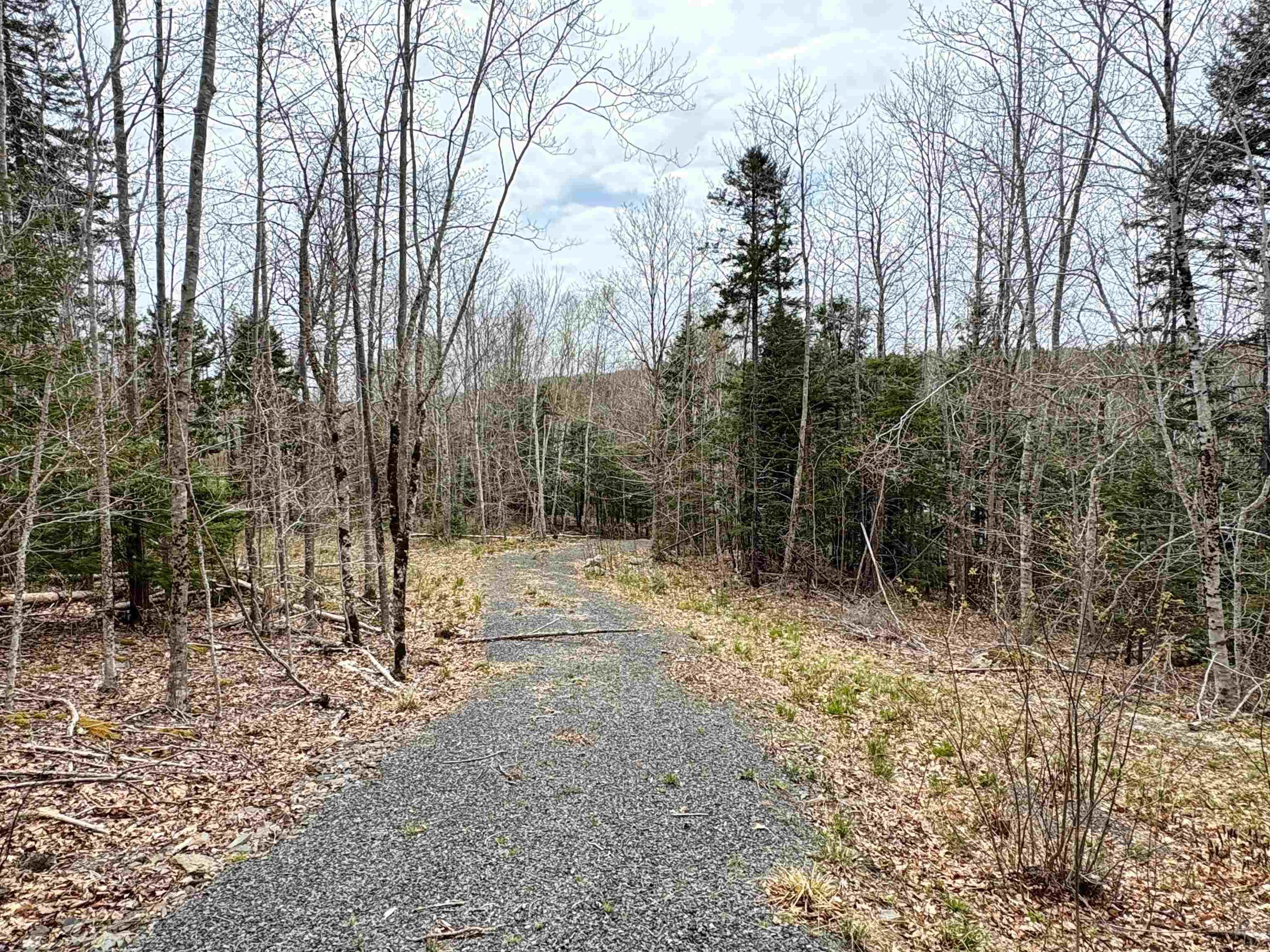 $109,000.00: Lot 103 Lakeview Drive, Conquerall Mills