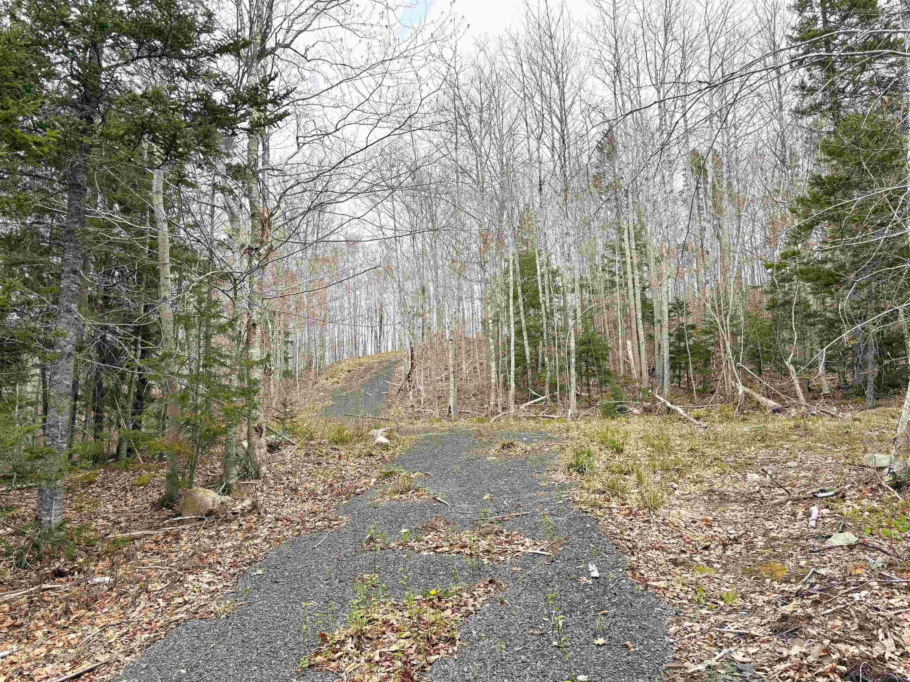 $109,000.00: Lot 103 Lakeview Drive, Conquerall Mills