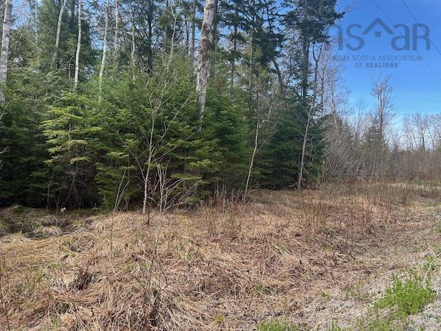 $139,900.00: Lot B13 Woodville Road, Greenhill