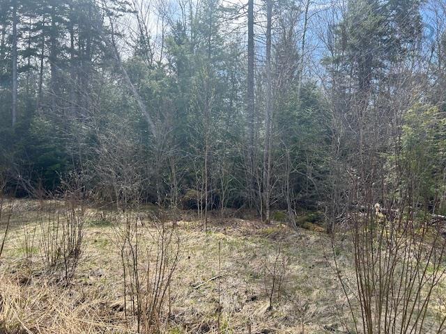 $139,900.00: Lot B13 Woodville Road, Greenhill