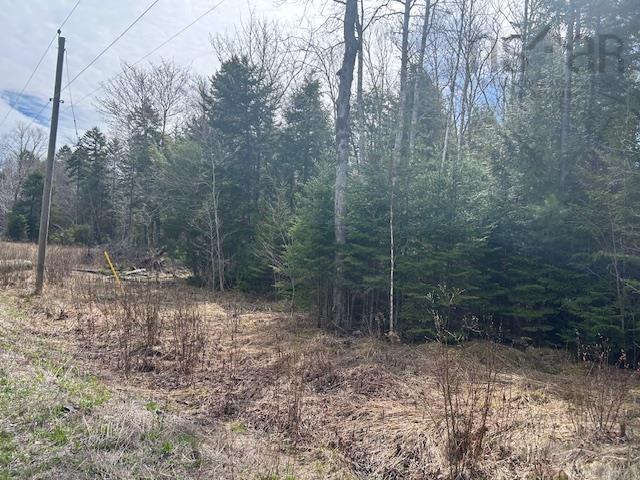 $139,900.00: Lot B13 Woodville Road, Greenhill