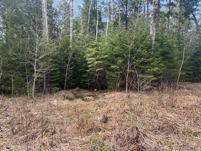 $139,900.00: Lot B13 Woodville Road, Greenhill