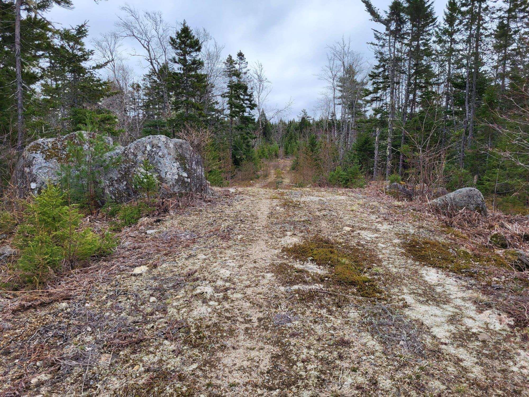 $89,900.00: Lot 5A Baillie Lake Road, Virginia