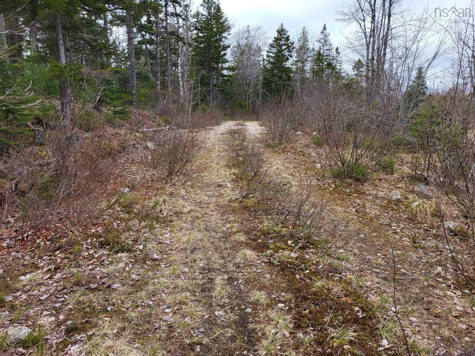 $89,900.00: Lot 5A Baillie Lake Road, Virginia