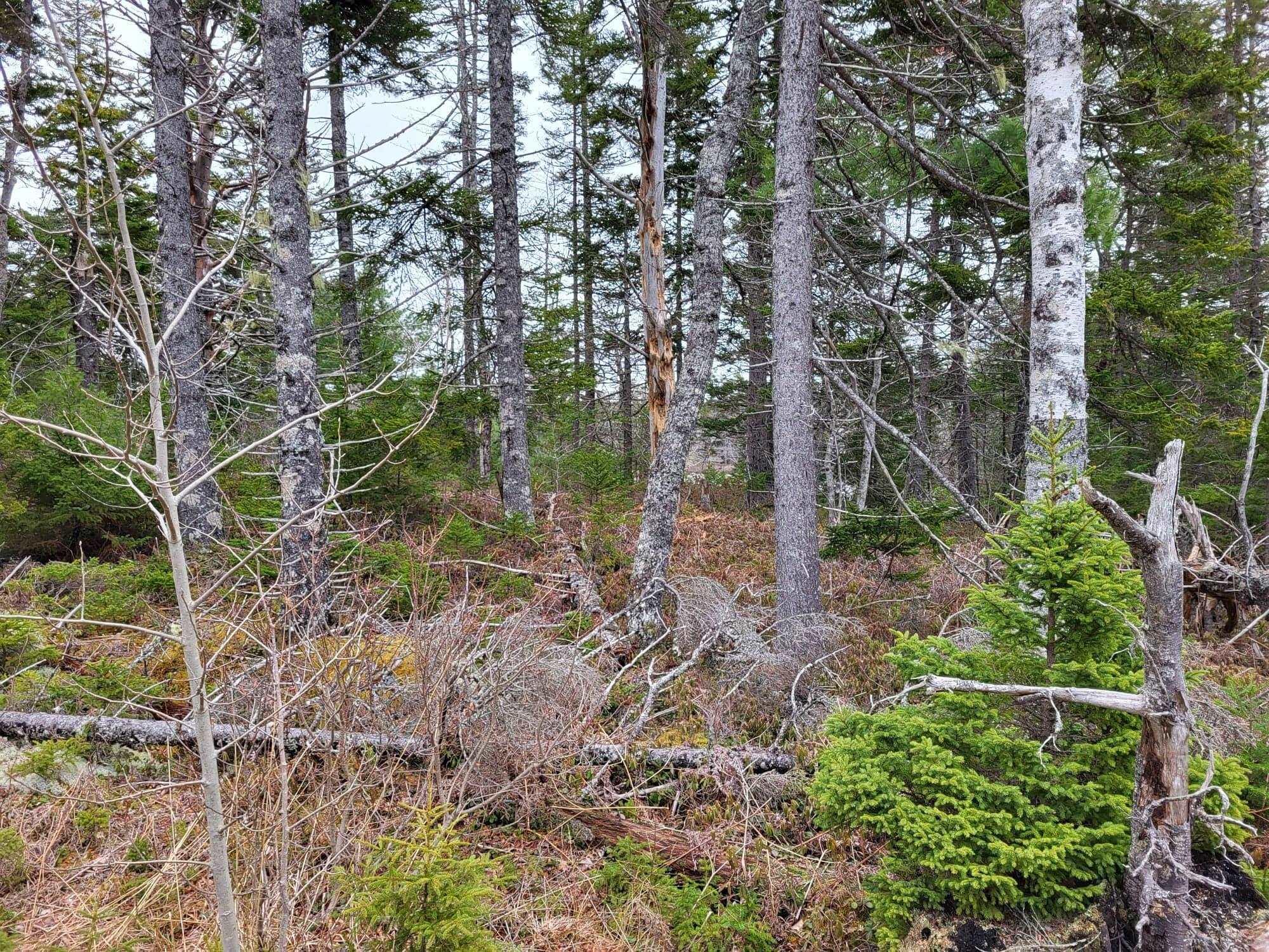 $89,900.00: Lot 5A Baillie Lake Road, Virginia