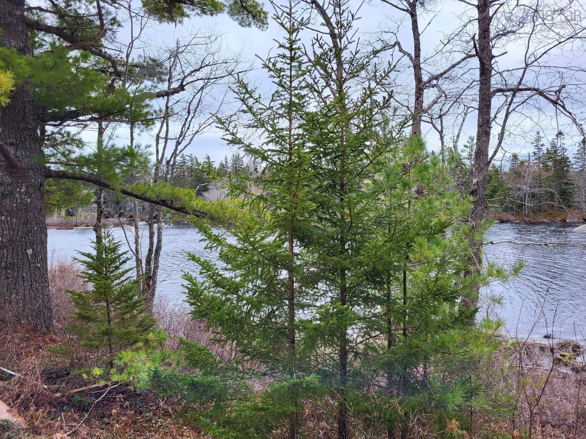 $89,900.00: Lot 5A Baillie Lake Road, Virginia