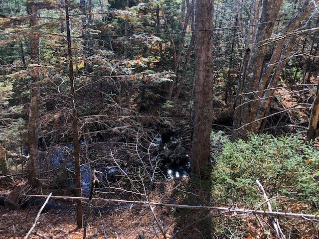 $94,500.00: 836 Whiteburne Road, Whiteburn Mines