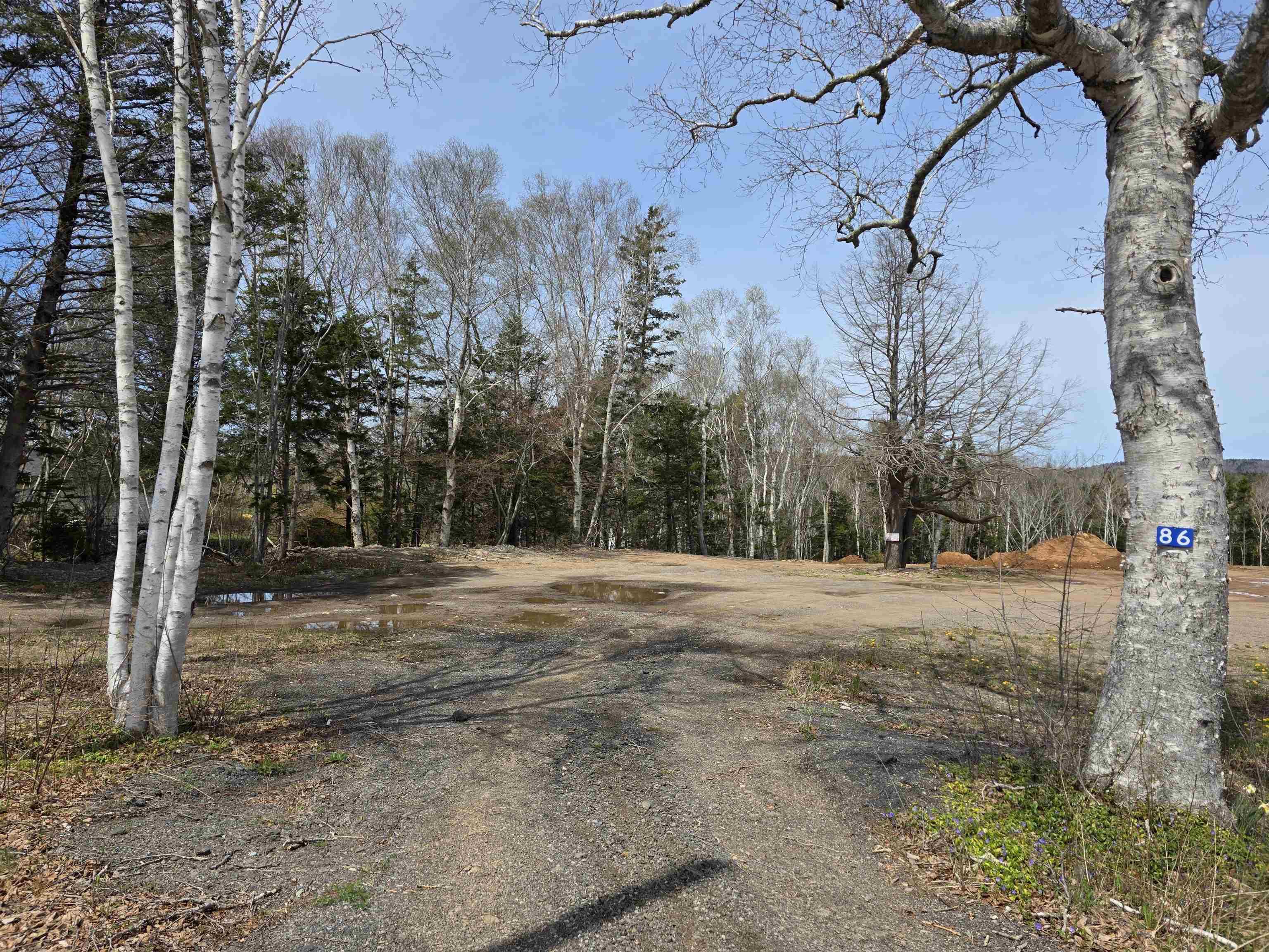 $149,000.00: 86 Carleton Street, Digby