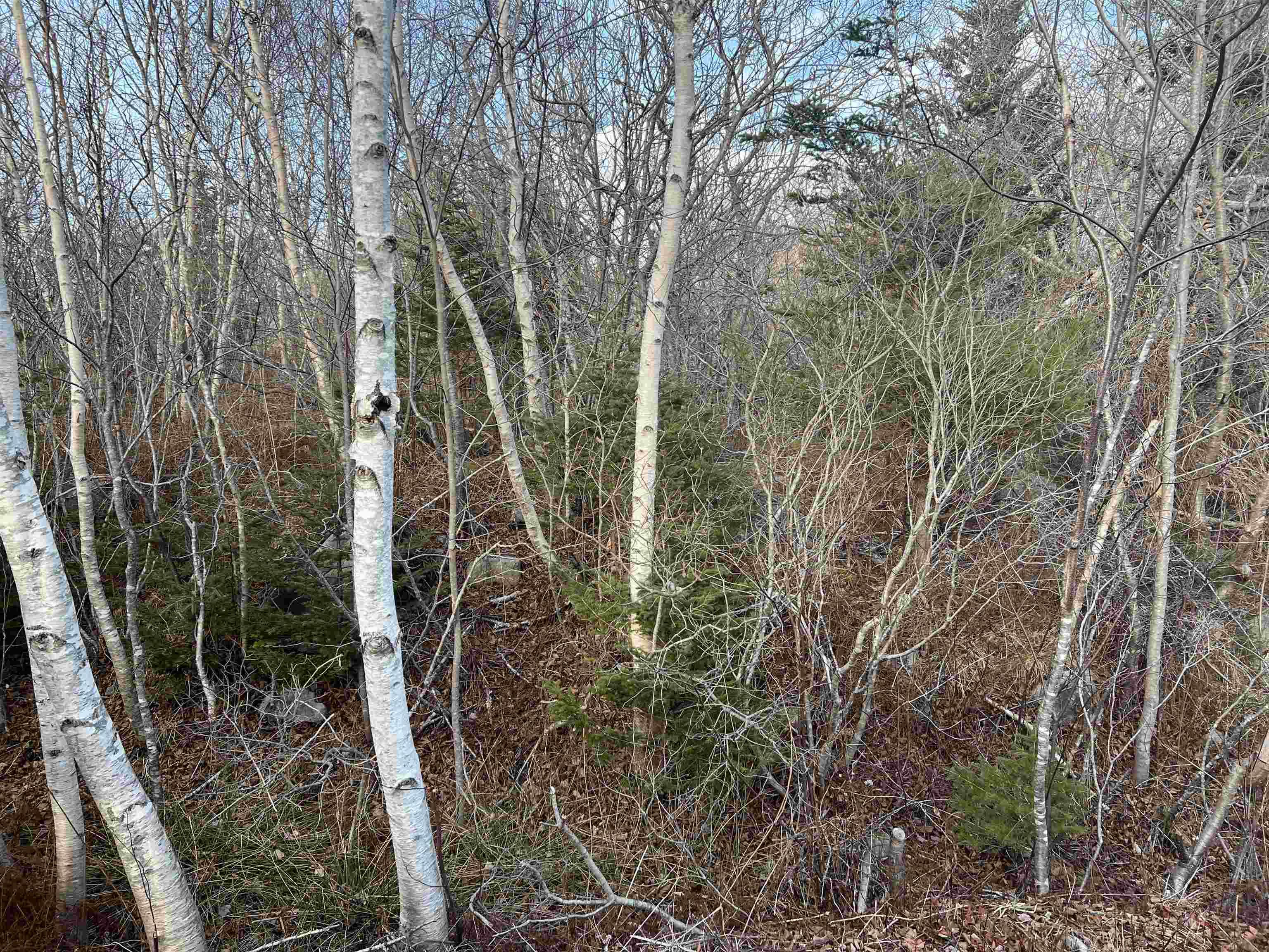 $29,000.00: Lot 3 Mackeral Rock Road, Sandy Point