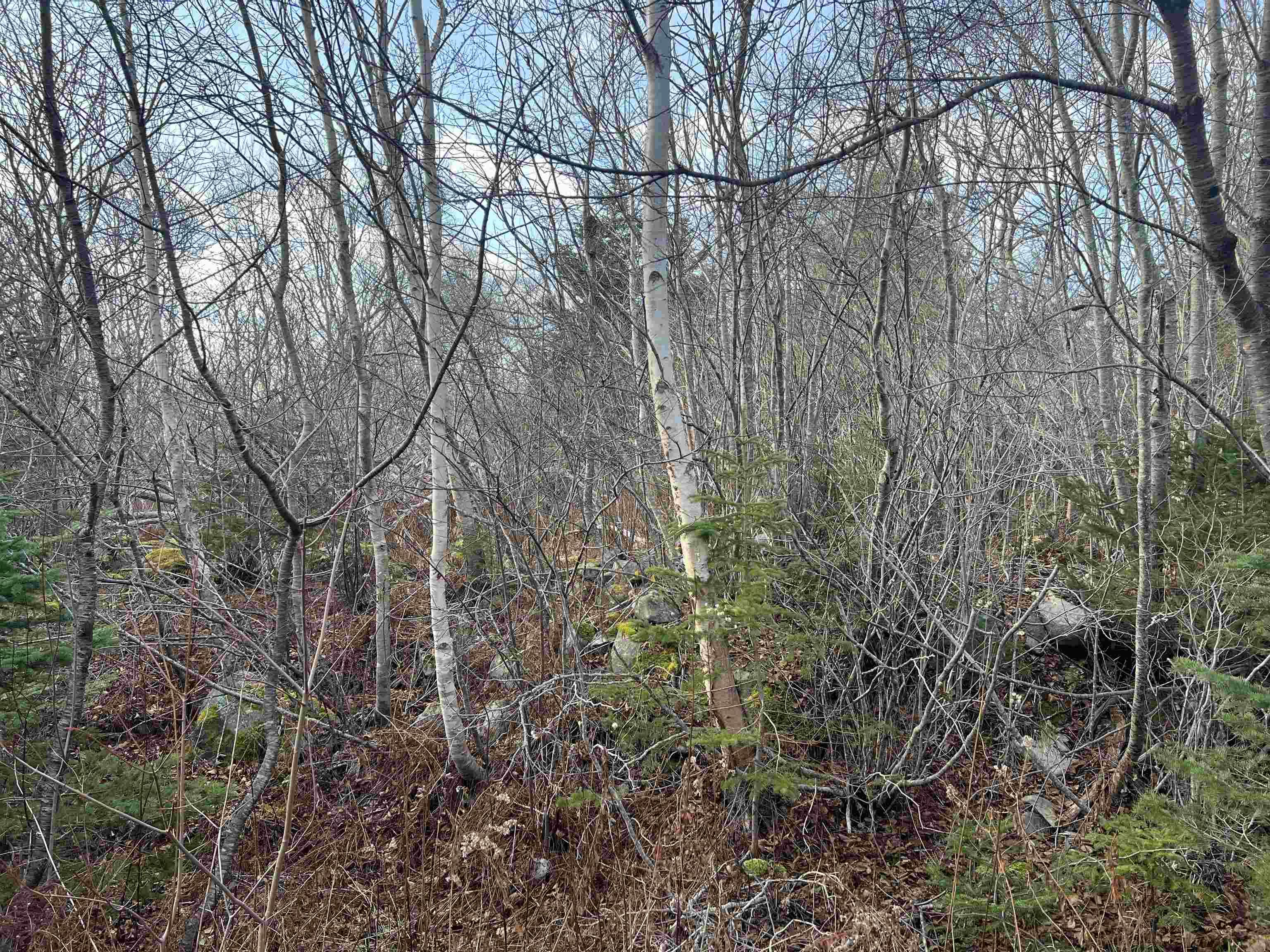 $29,000.00: Lot 3 Mackeral Rock Road, Sandy Point