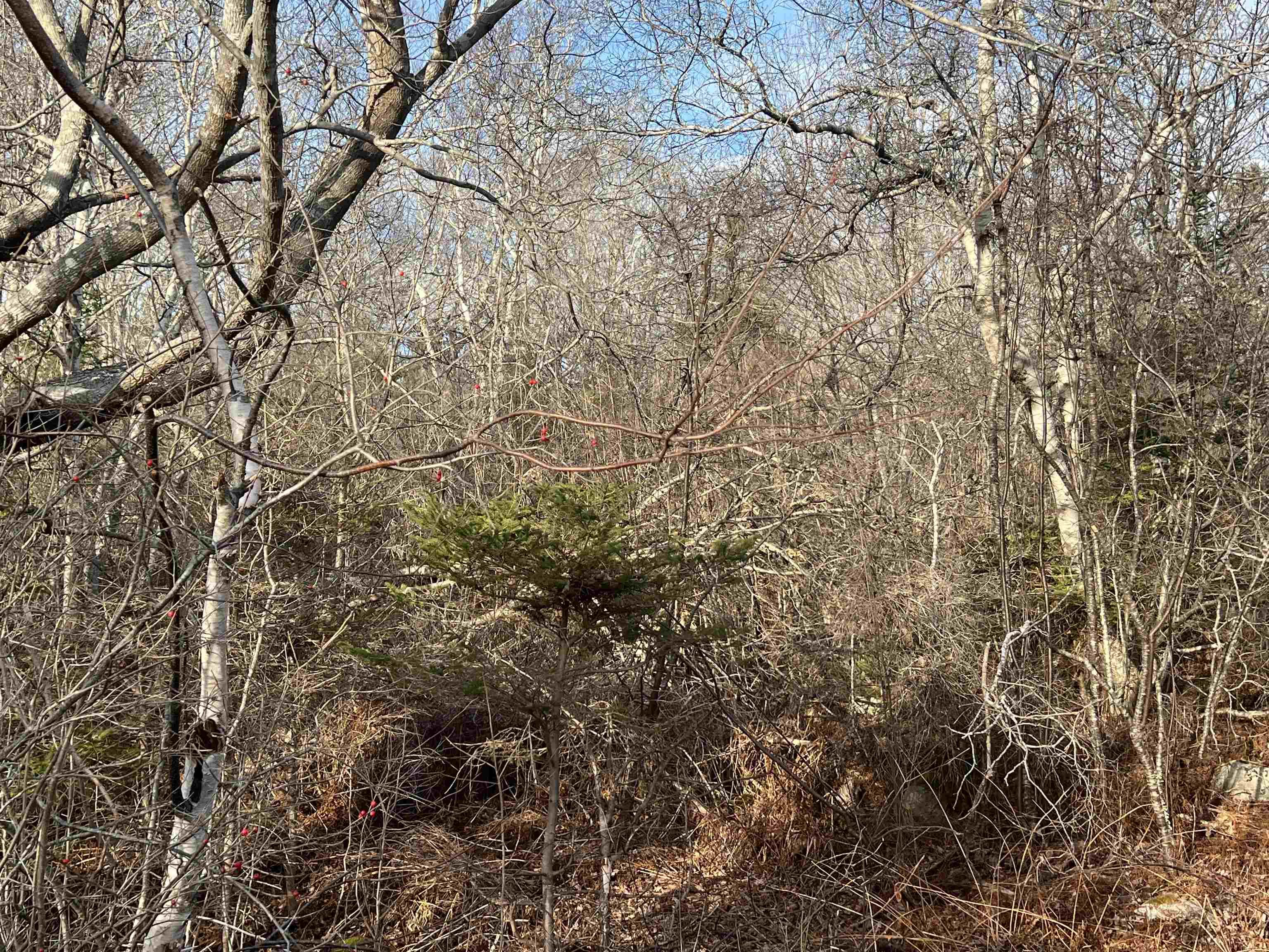 $29,000.00: Lot 3 Mackeral Rock Road, Sandy Point