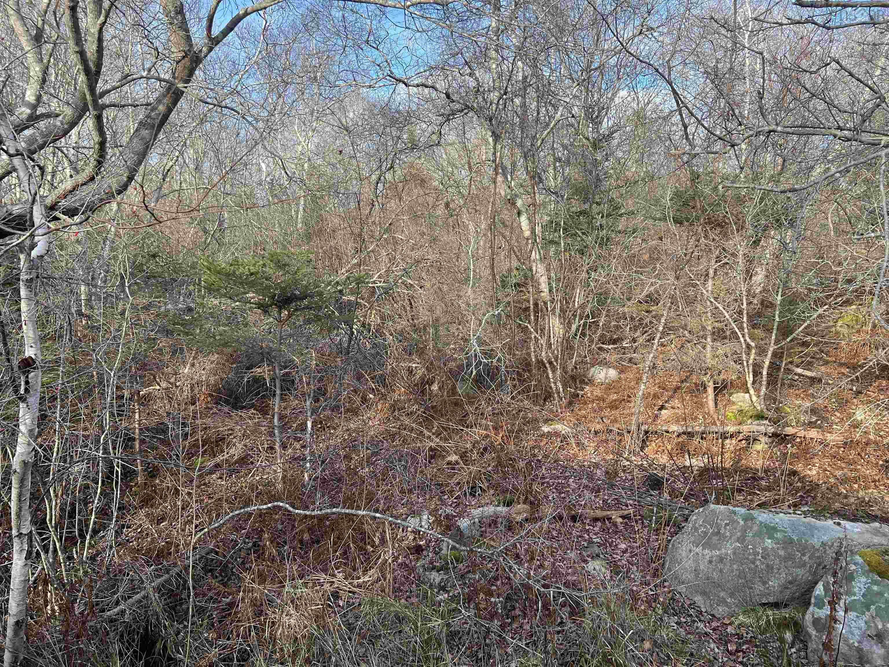 $29,000.00: Lot 3 Mackeral Rock Road, Sandy Point