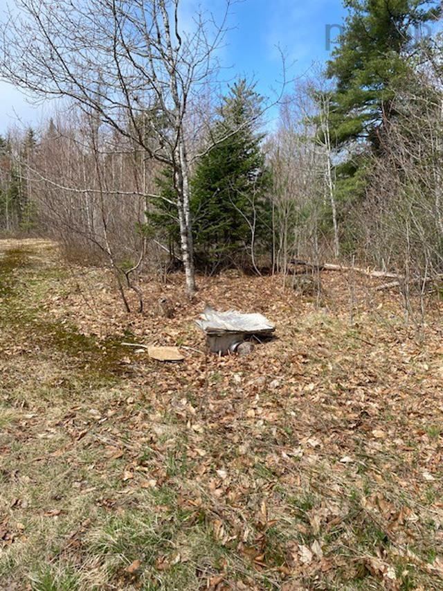 $70,000.00: 1539 Old Liverpool Road, The Halfway