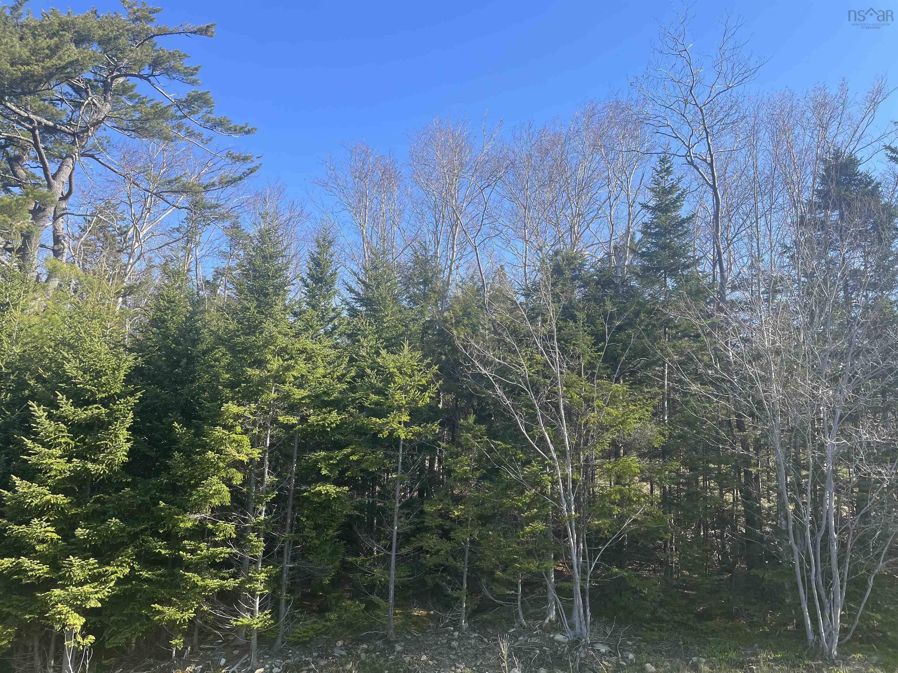 $189,000.00: Lot R1 AB Old Mill Road, Hammonds Plains