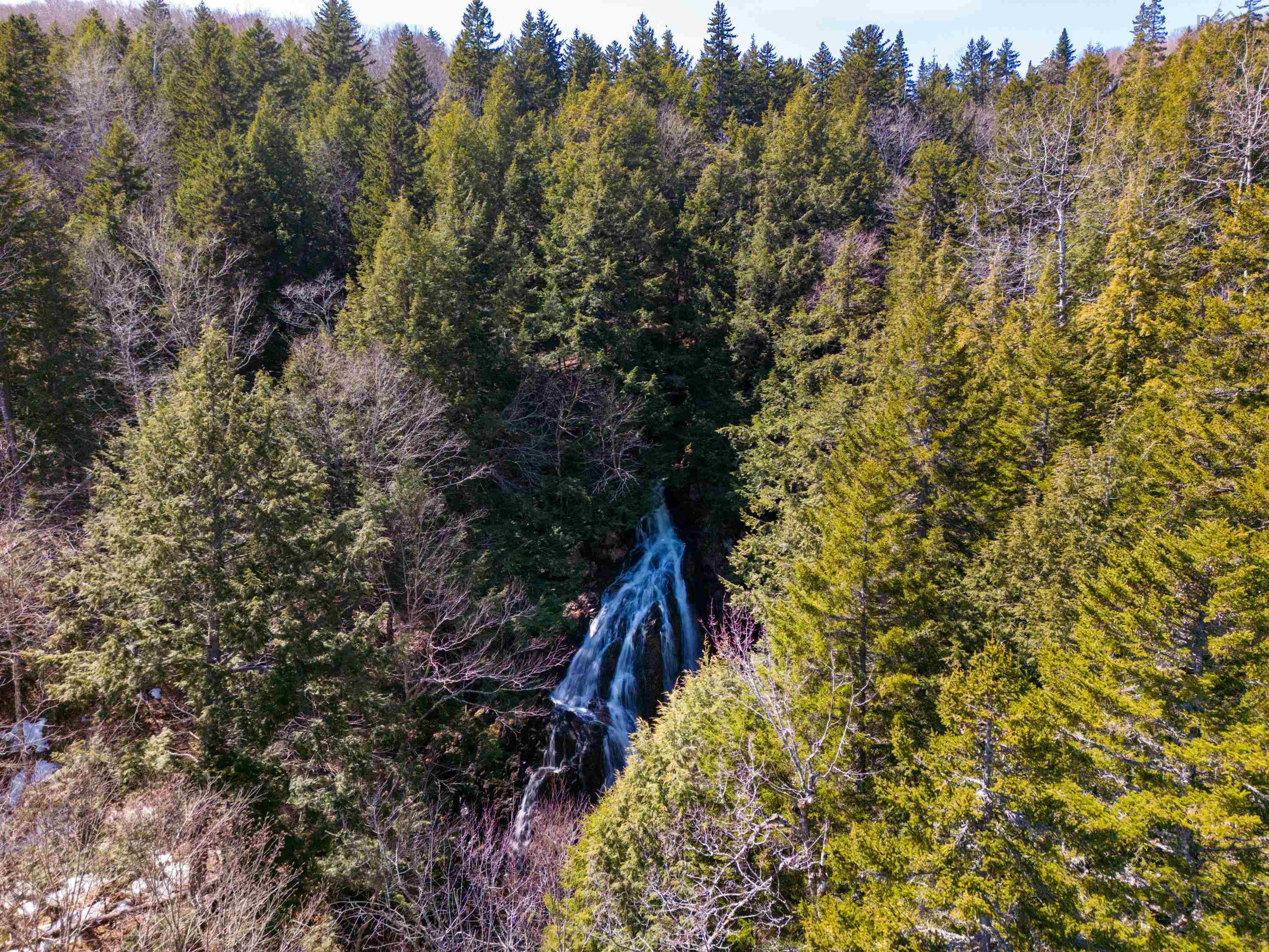 $65,000.00: Lot 21-2 Black Spruce Lane, Wentworth